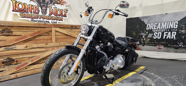 Softail® Standard