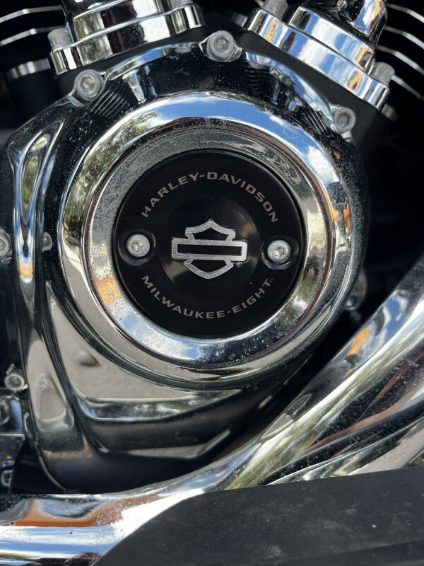 Road Glide® Special