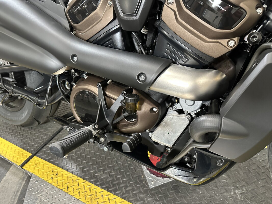 Sportster® S