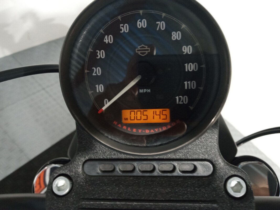 Iron 883®