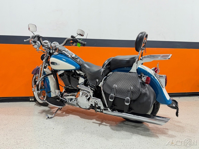 Springer® Softail®