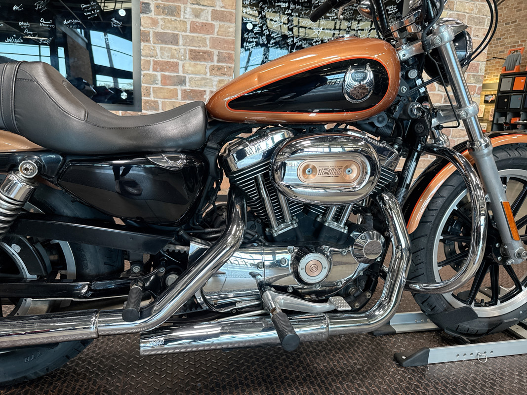 Sportster® 1200 Low Anniversary