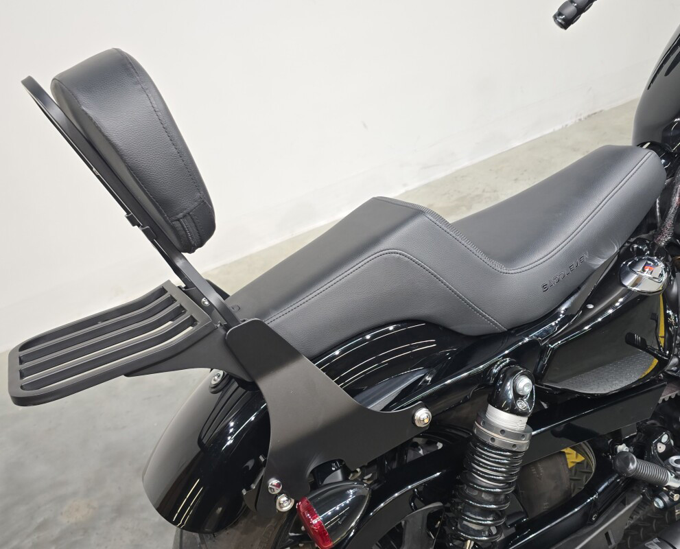 Sportster® Forty-Eight® Special