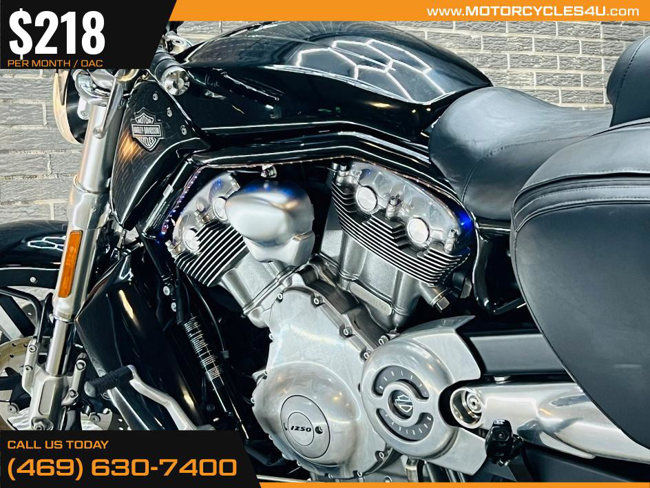 V-Rod Muscle®