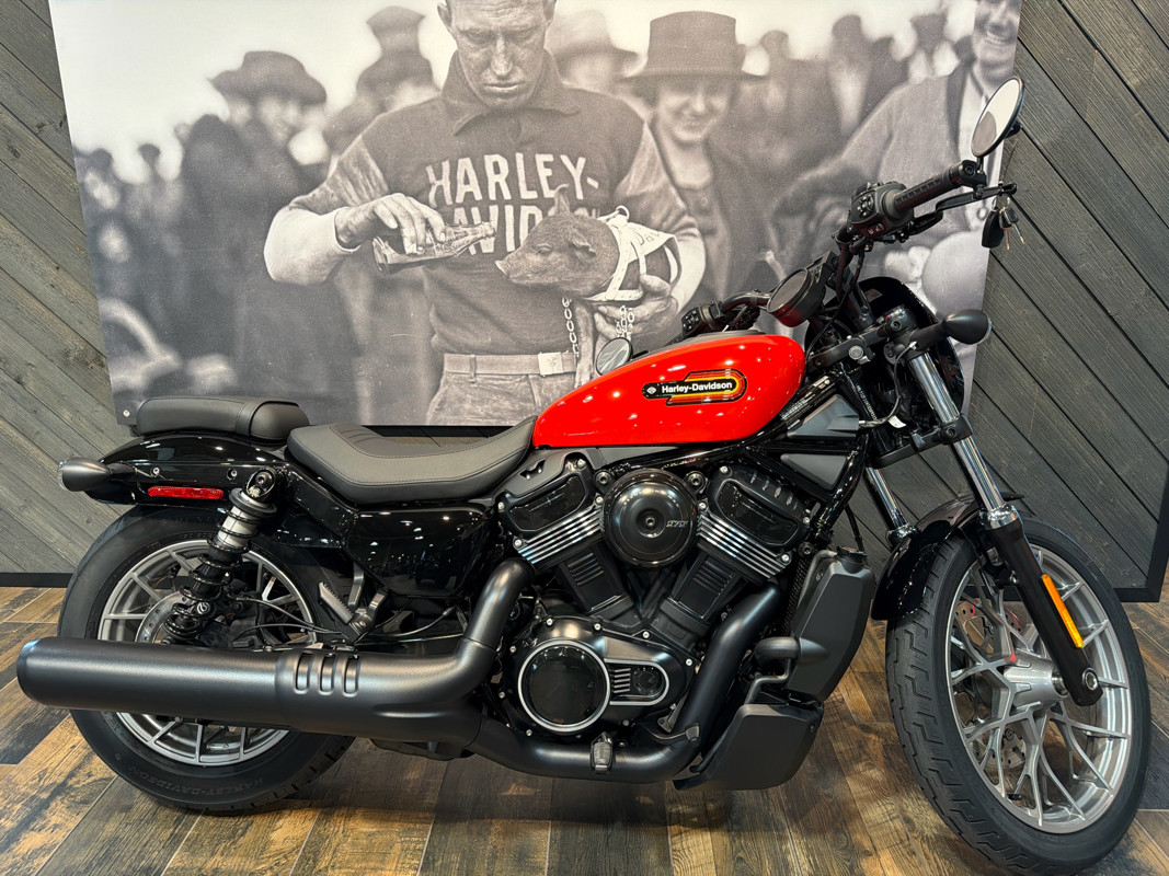 Nightster Special