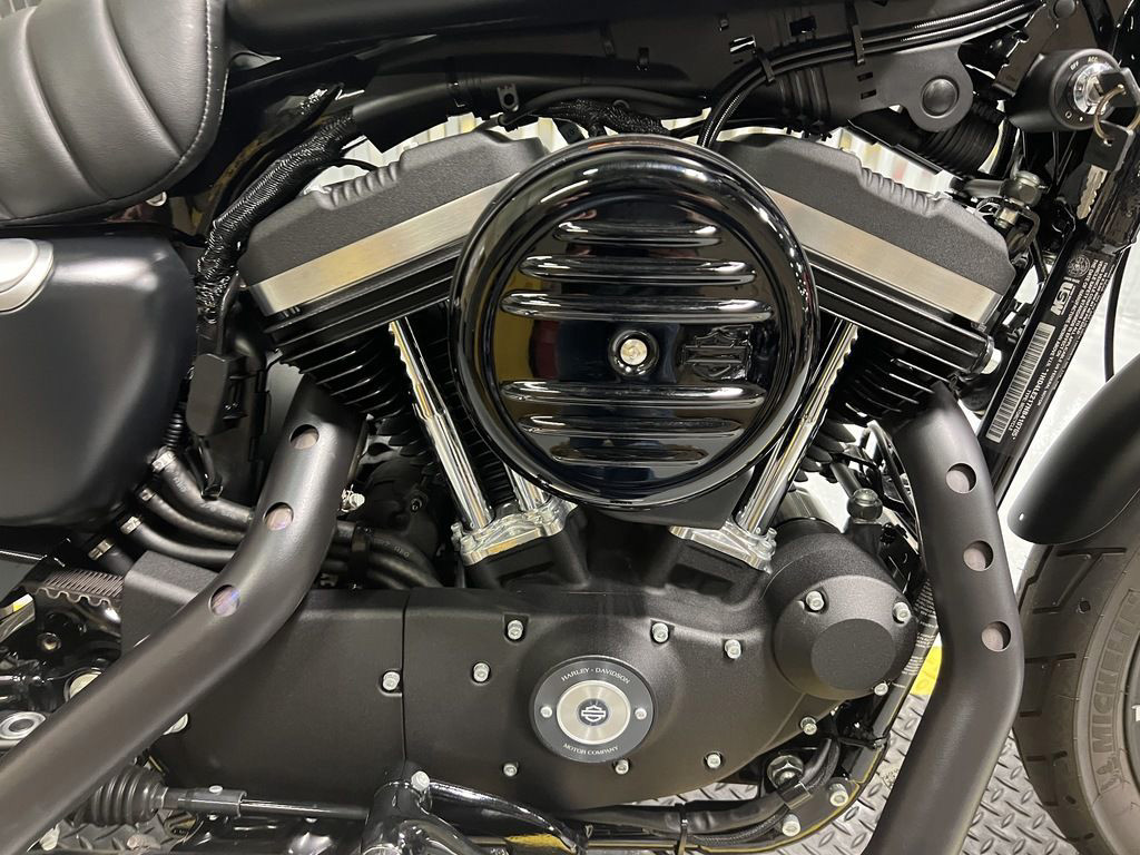 Iron 883®