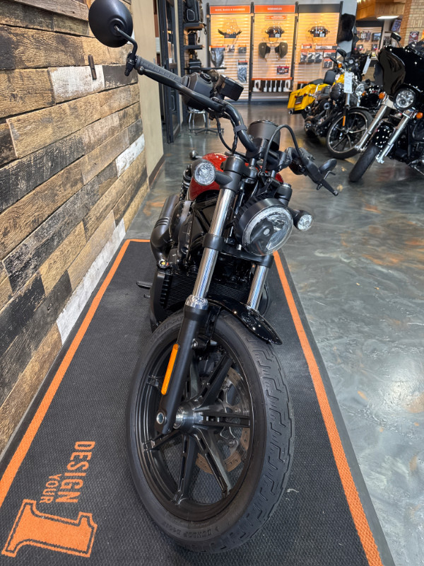 Nightster