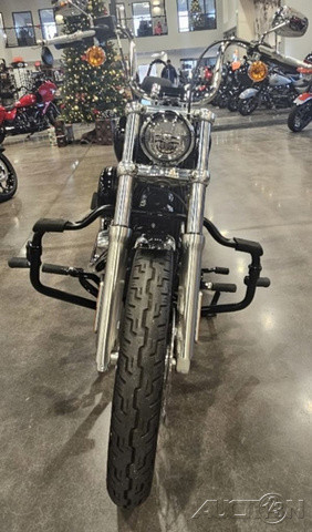 Softail® Standard