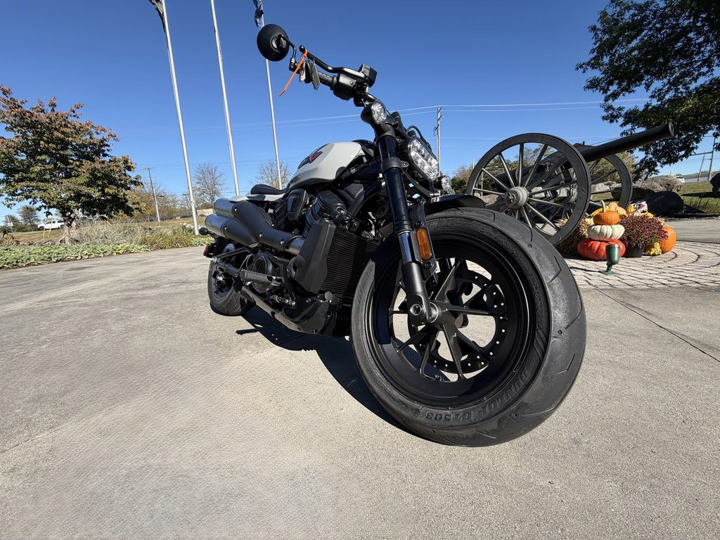 Sportster® S