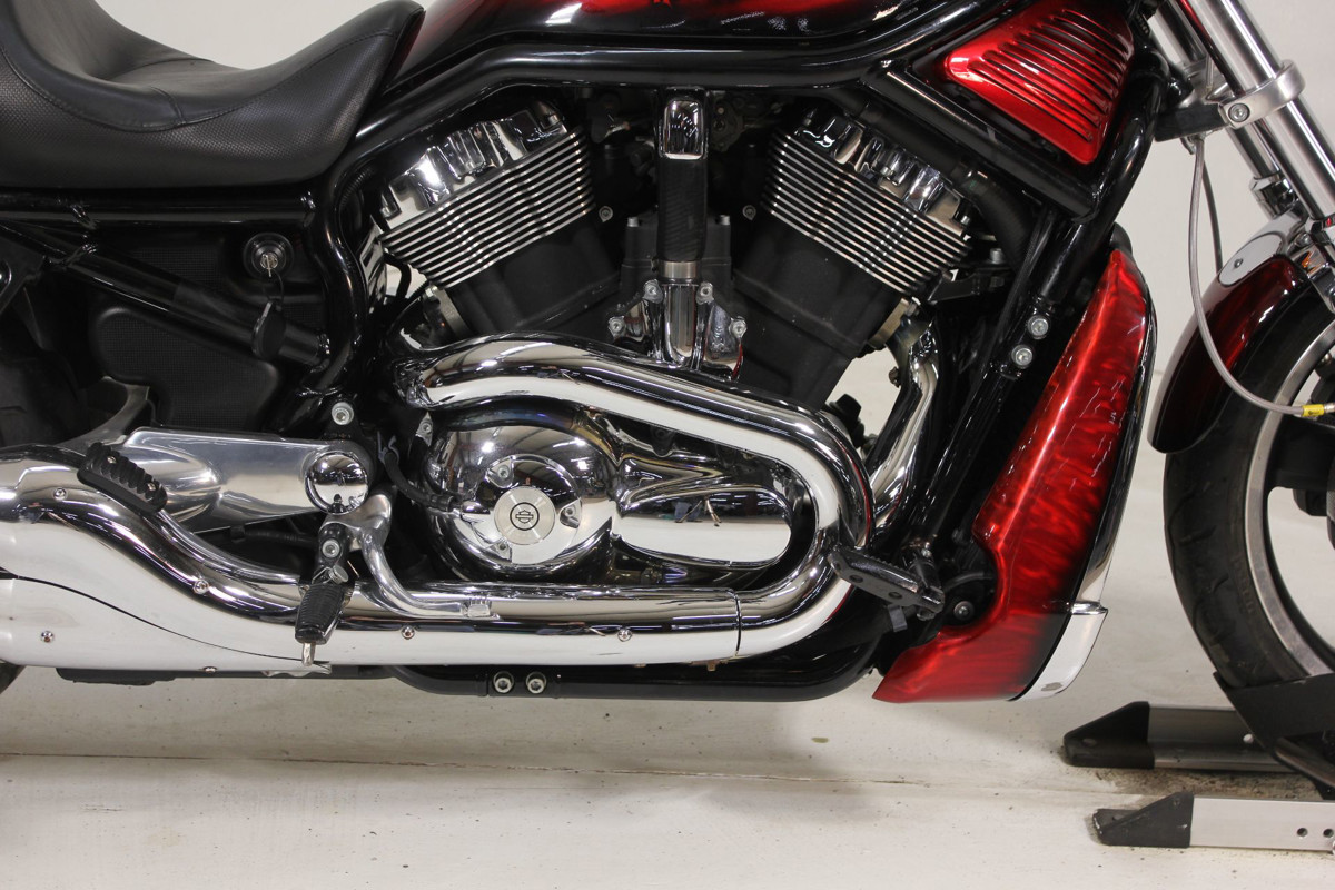 V-Rod® Night Rod®