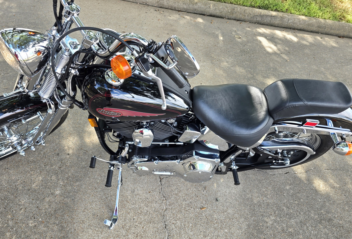 Springer® Softail®