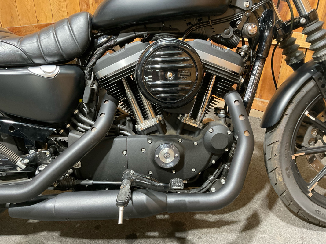 Sportster® Iron 883®