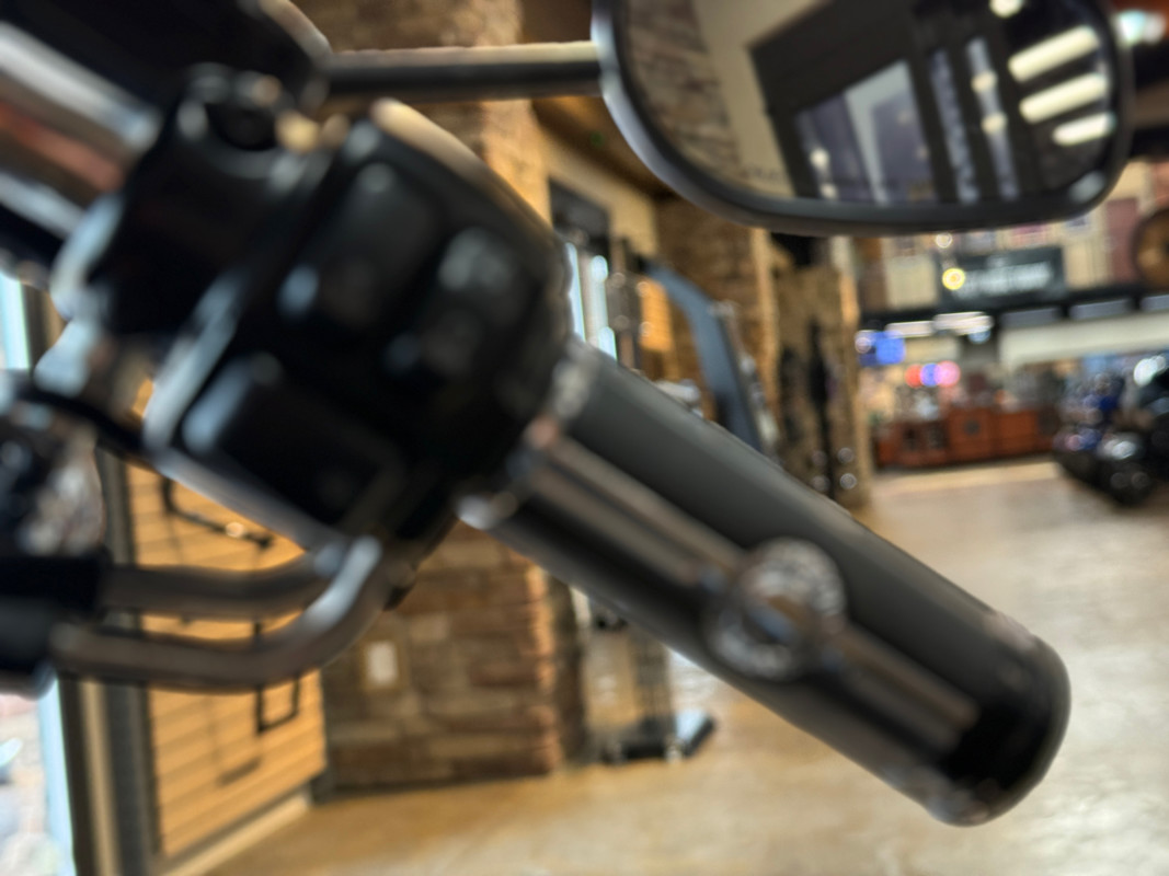 Dyna® Street Bob®