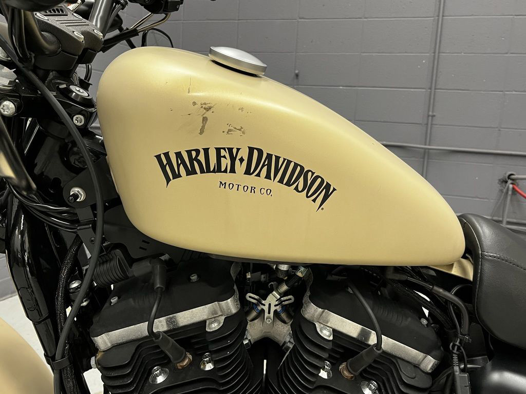 Sportster® Iron 883®