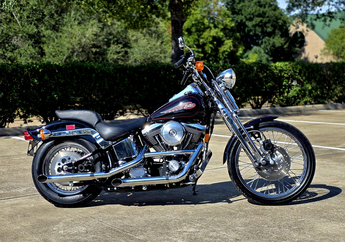 Springer® Softail®