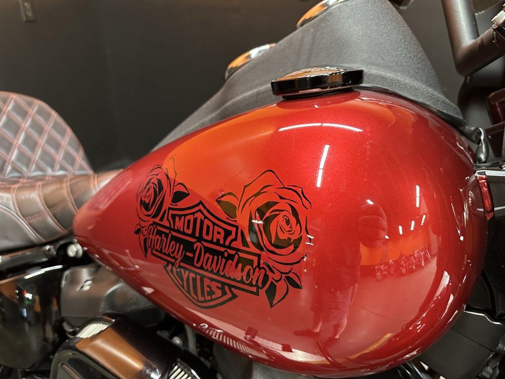 Low Rider® S