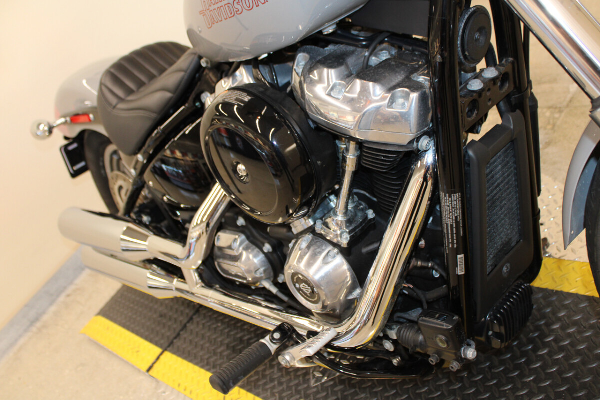 Softail® Standard
