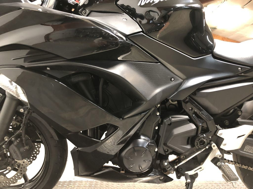 Ninja® 650