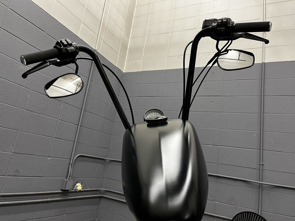 Sportster® Iron 883®