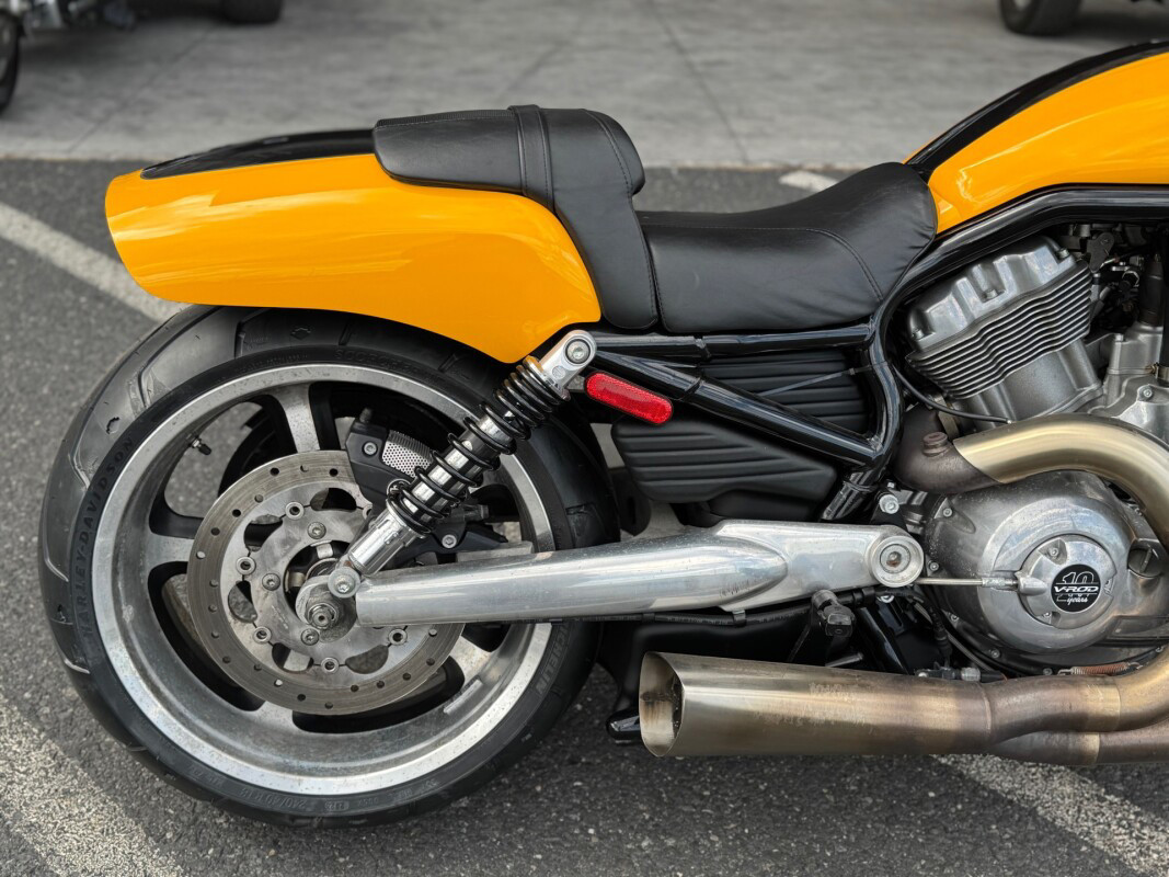 V-Rod® Muscle®