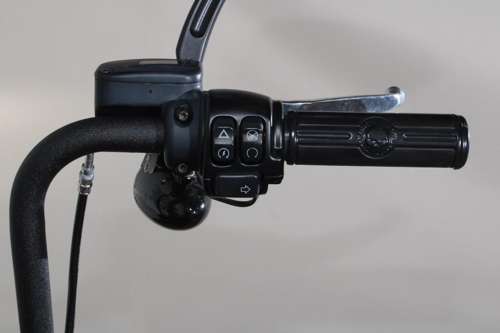 Street Bob® 114