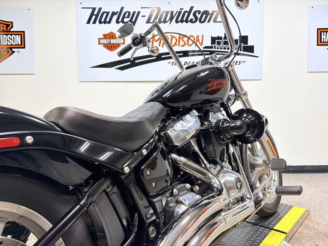 Softail® Standard