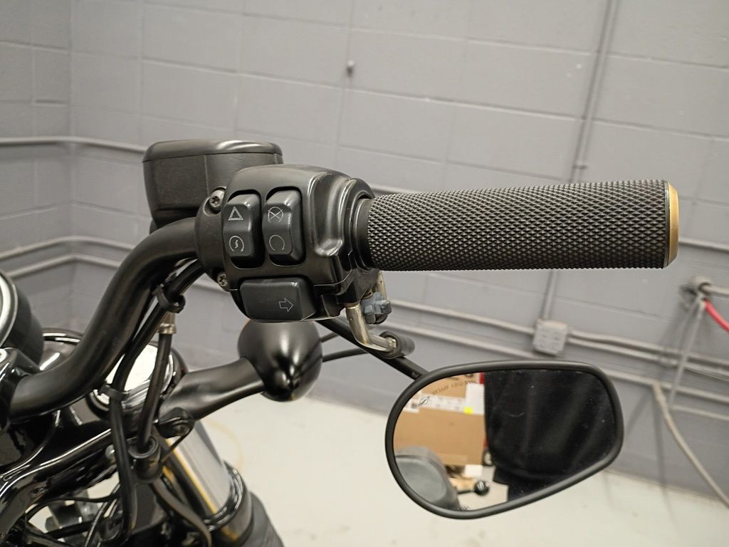 Sportster® Forty-Eight®