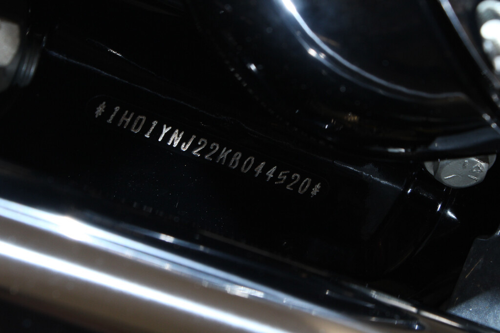 Softail® Low Rider®