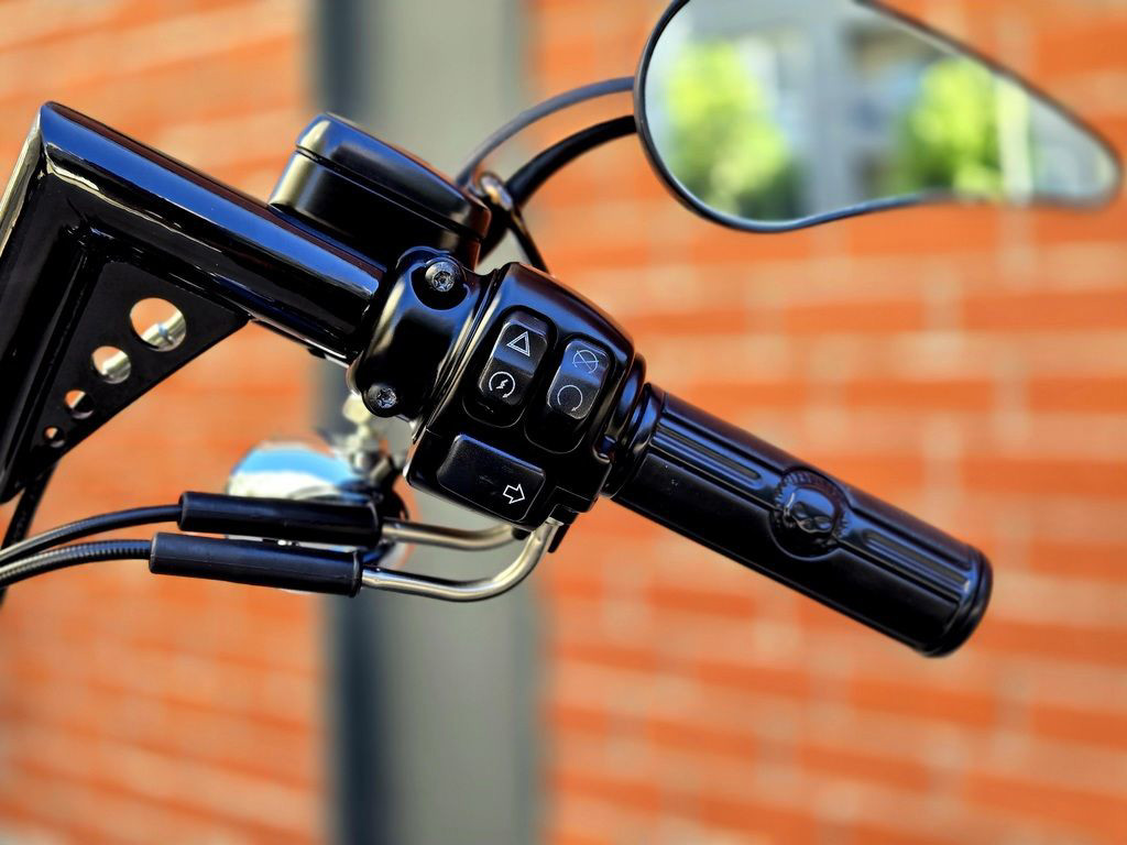 Dyna® Street Bob®