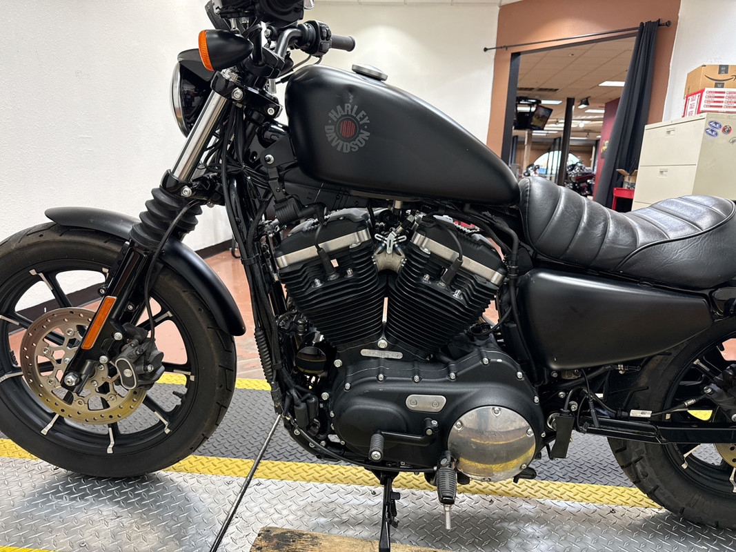 Iron 883®
