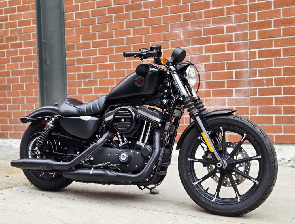 Iron 883®