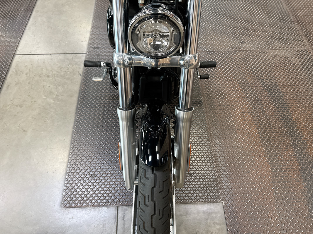 Softail® Standard