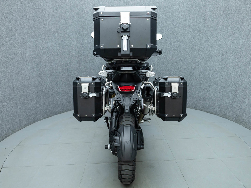 Tiger 1200 Rally Pro