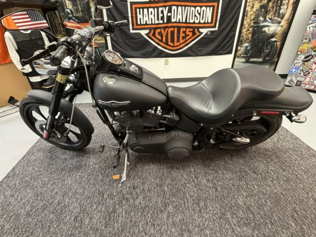 Softail® Night Train® 