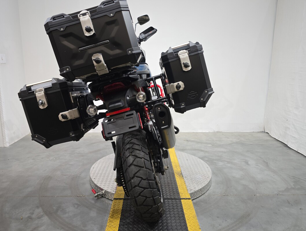 CVO® Pan America®