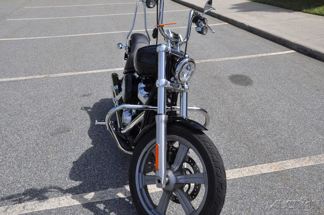 Softail® Standard