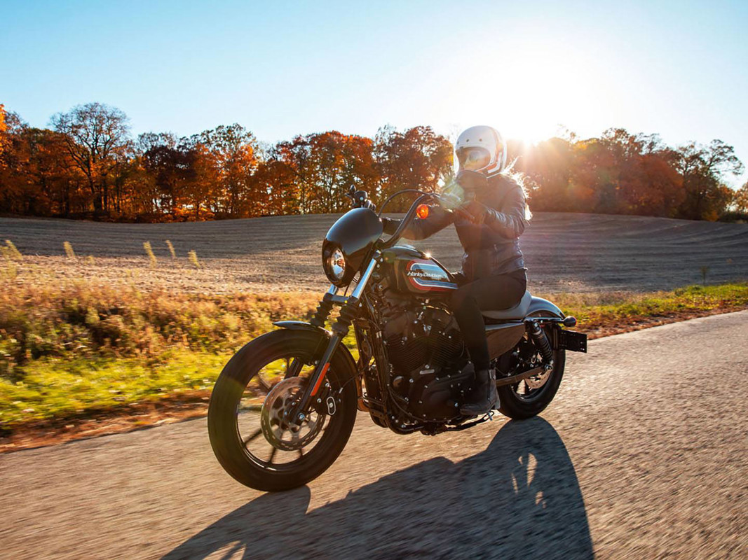 Iron 1200®