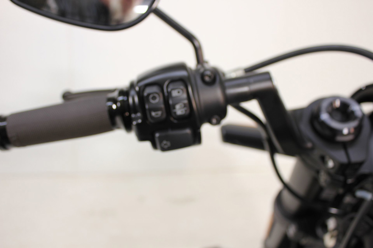 Softail® FXDR® 114