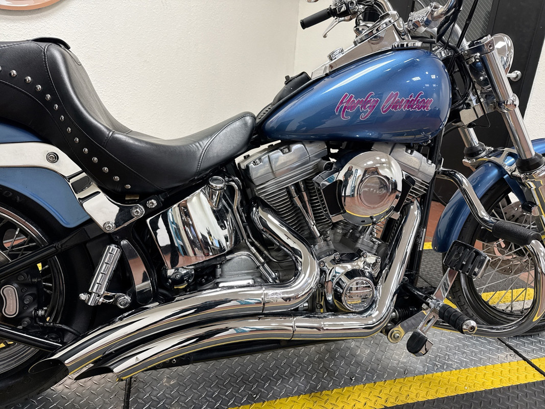 Softail® Standard