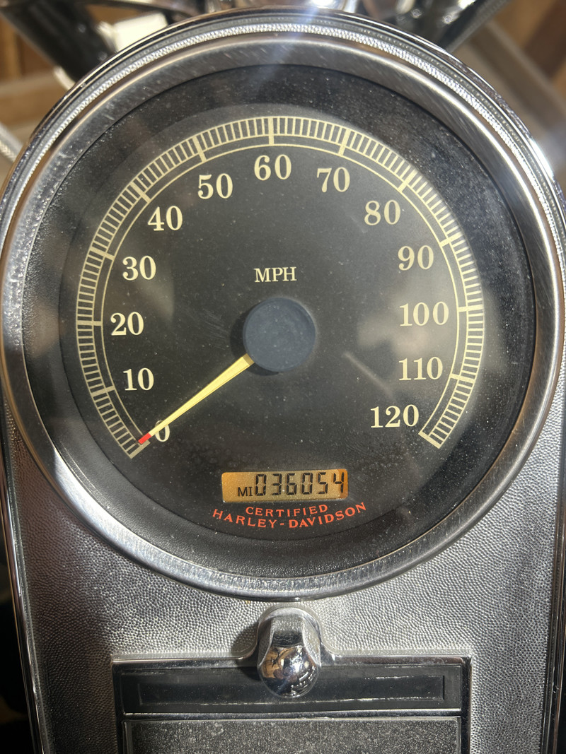 Softail® Standard