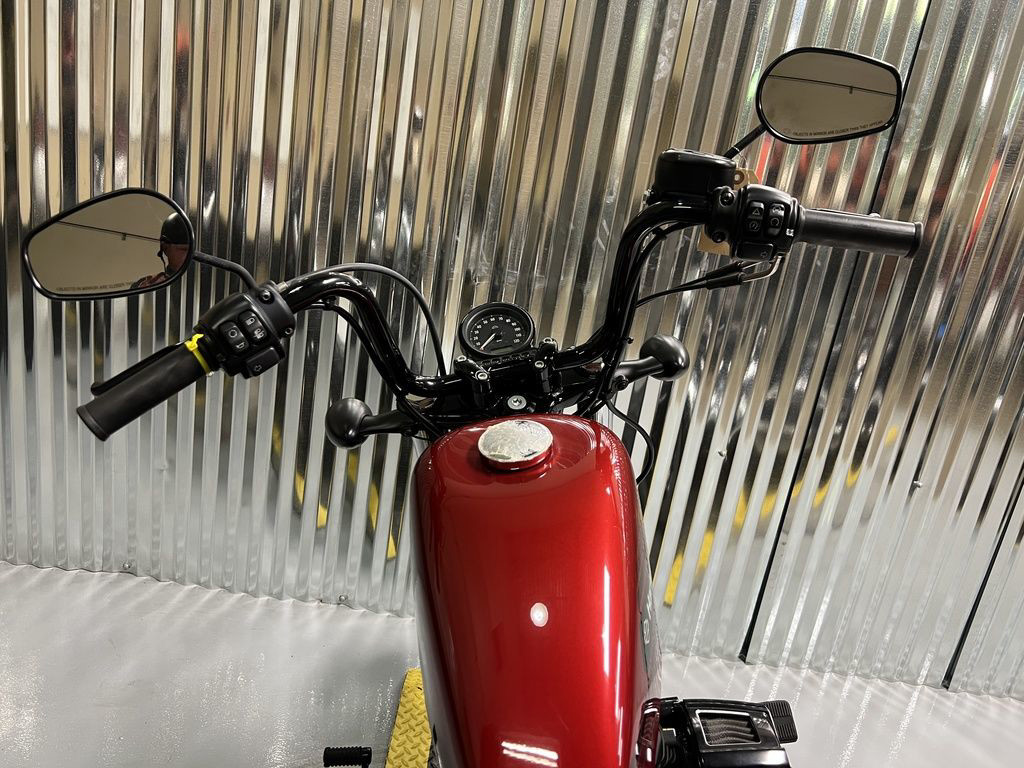 Sportster® Forty-Eight® Special