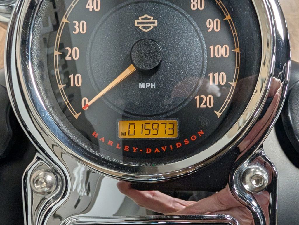Dyna® Fat Bob®