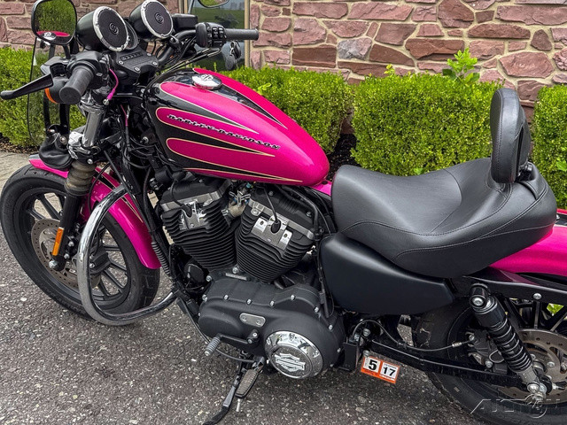 Sportster® Iron 883®
