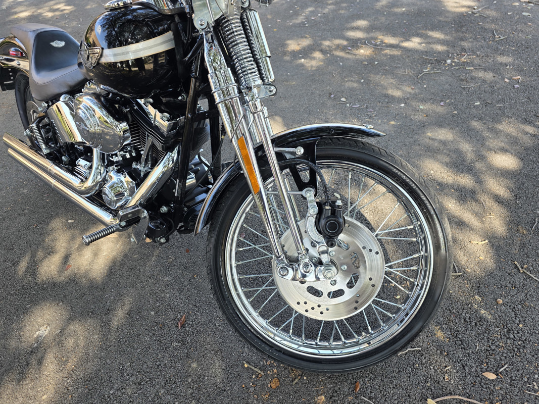 Springer® Softail® Anniversary