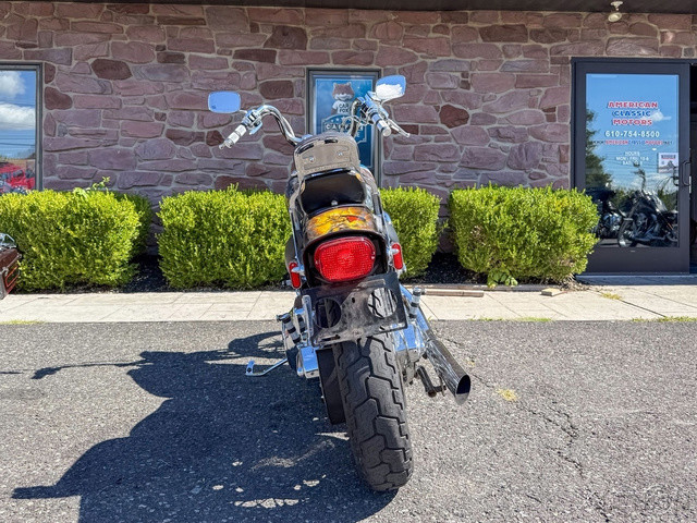 Springer® Softail®