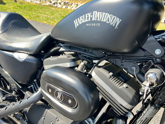 Sportster® Iron 883®