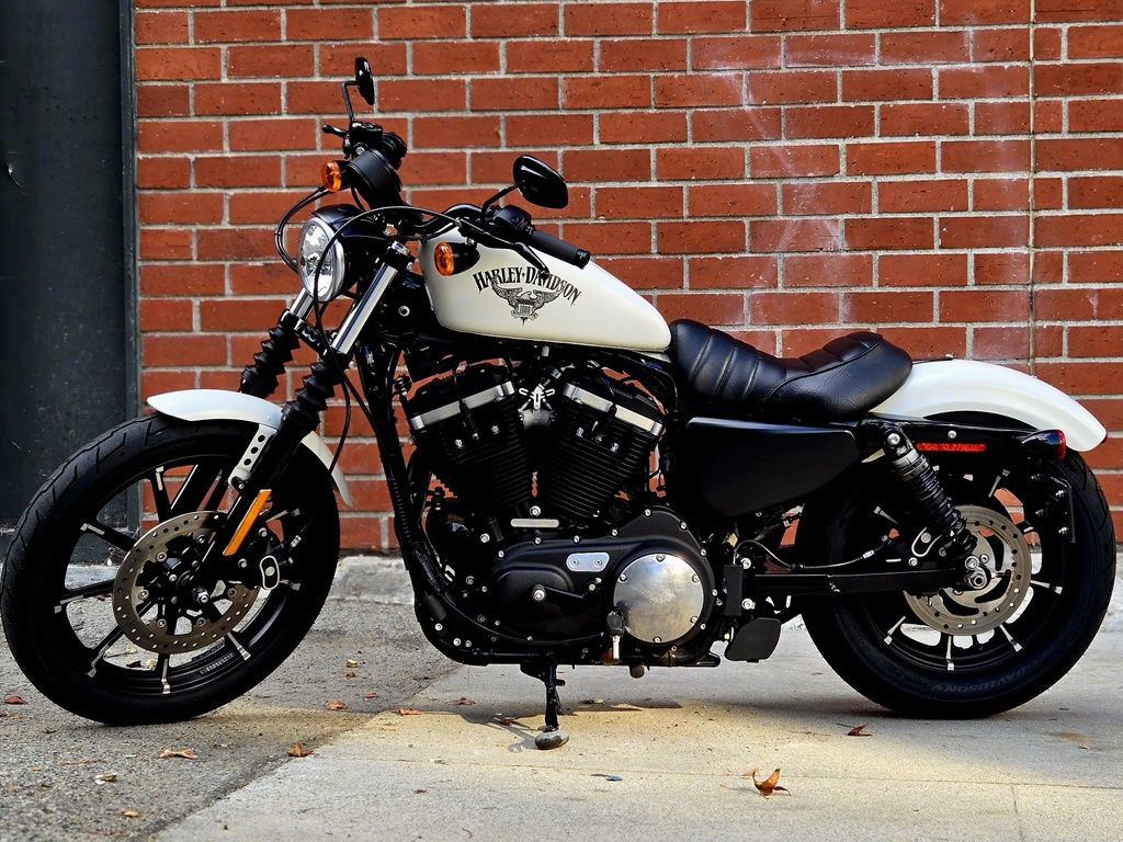 Sportster® Iron 883®