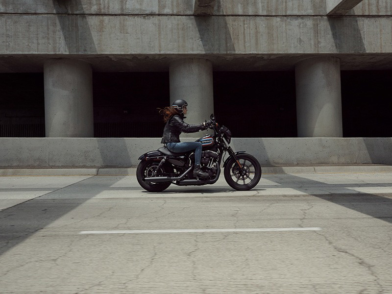 Iron 1200®