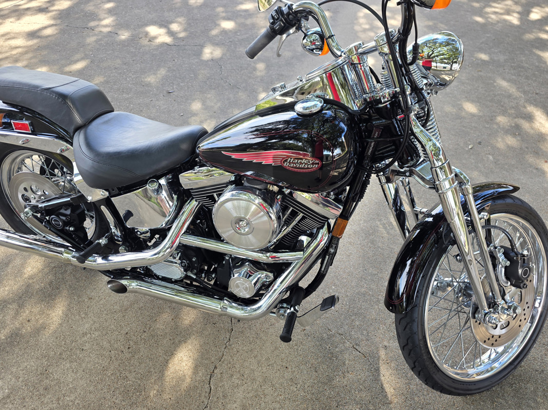 Springer® Softail®