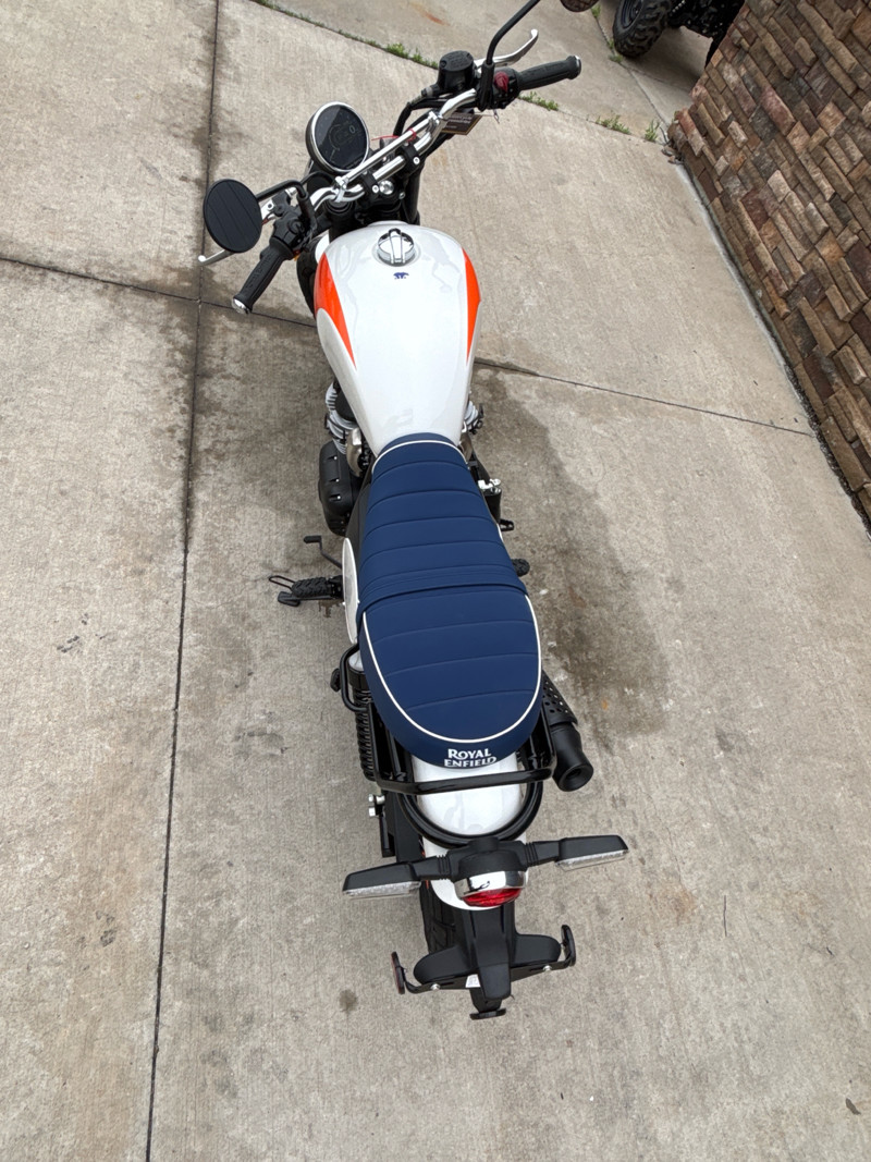 Bear 650